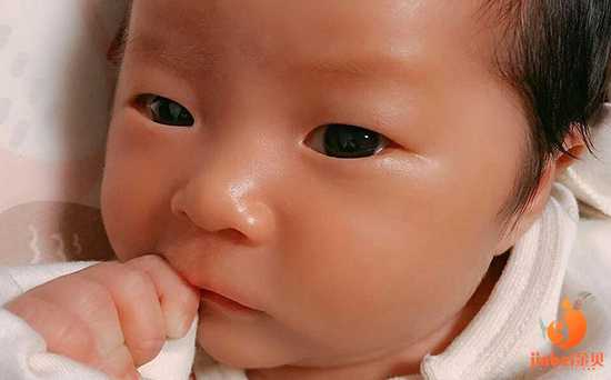 哈尔滨借卵子费用_【荆州哪里做供卵试管婴儿】卵泡监测+试纸，备孕两个月，