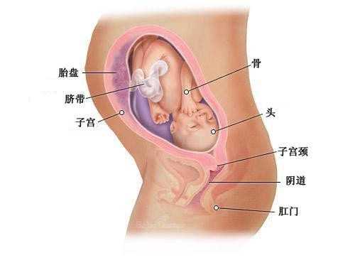 南昌代妈21万_35岁单身女性做泰国试管婴儿终当妈