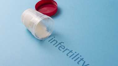哈尔滨代孕助孕中介公司_北京试管婴儿哪家好 卵裂期胚胎VS囊胚哪种更容易成